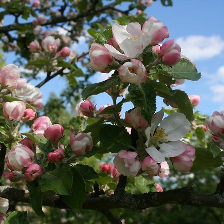 Gaestrum Gnottnehult Osterbymo Zewnętrze zdjęcie