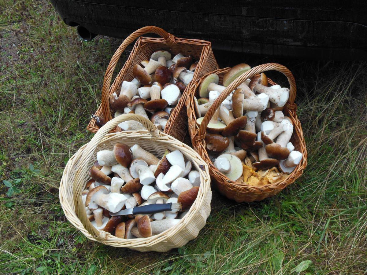 Gaestrum Gnottnehult Osterbymo Zewnętrze zdjęcie